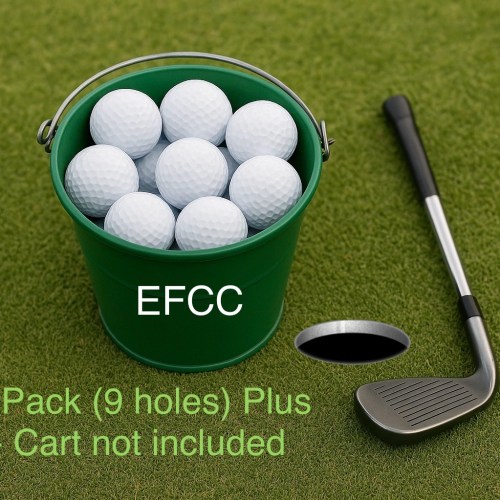 10 Pack ( 9 holes) Plus 2! - Cart not included