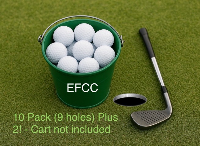 10 Pack ( 9 holes) Plus 2! - Cart not included