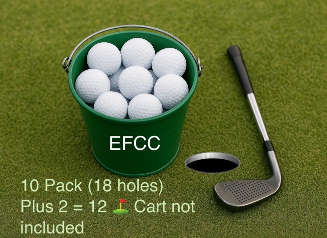 10 Pack ( 18 Holes ) Plus 2! - Cart not included