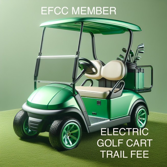 Private Electric Golf Cart – 2 people only (2025 season) ALL CART OPTIONS ARE FOR MEMBERS ONLY